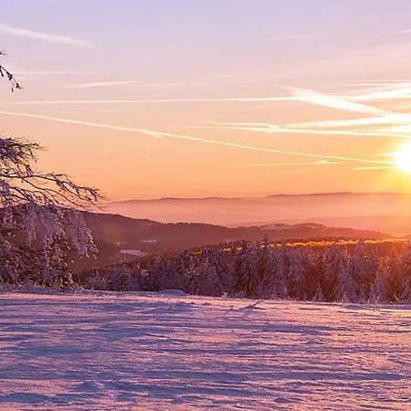 Woody- Skigebiet - Winterberg - Lage, Privater Eingang *